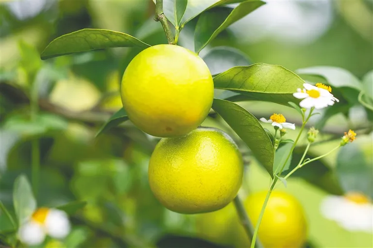 1728521078795088722.jpg 1728521078795088722.jpg