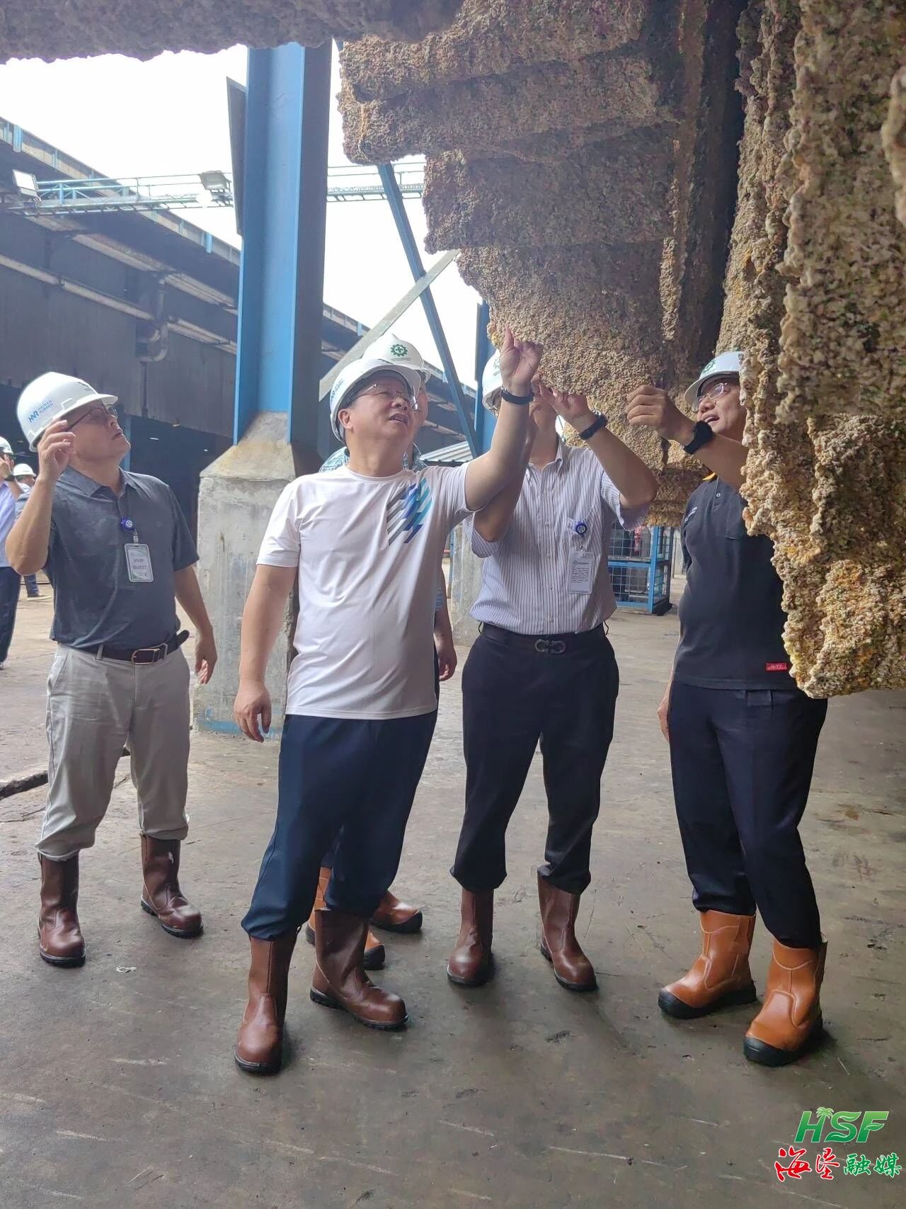 包洪文一行調(diào)研合盛農(nóng)業(yè)SGO加工廠。